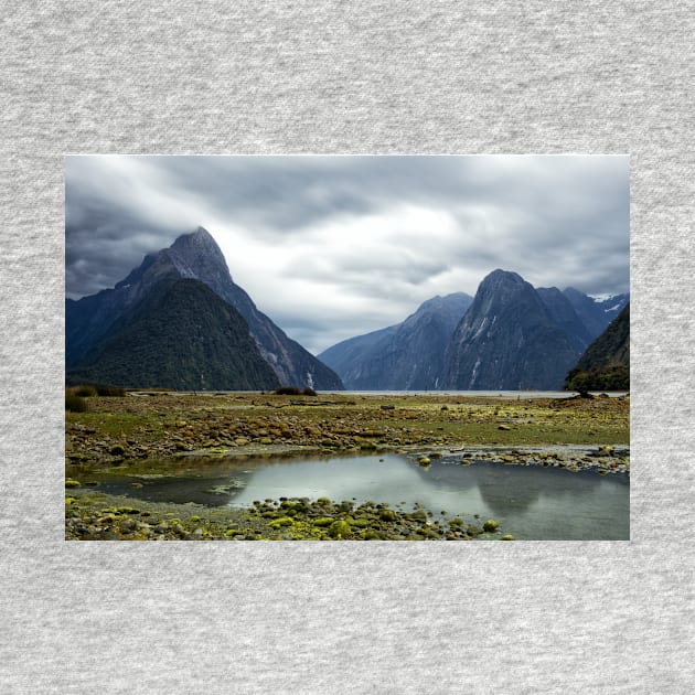 Typical Milford Sound by krepsher